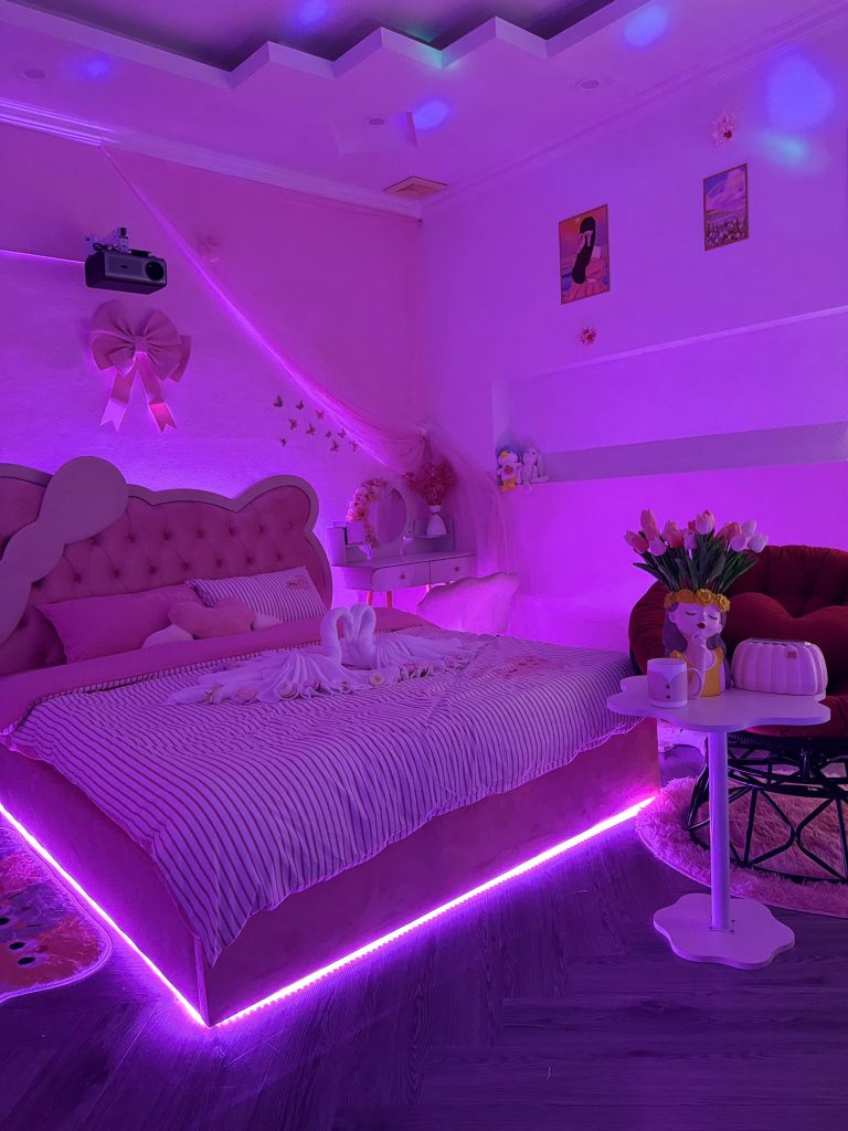 Princess Dream 2