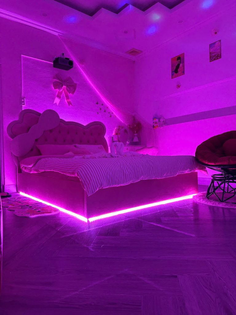 Princess Dream 5