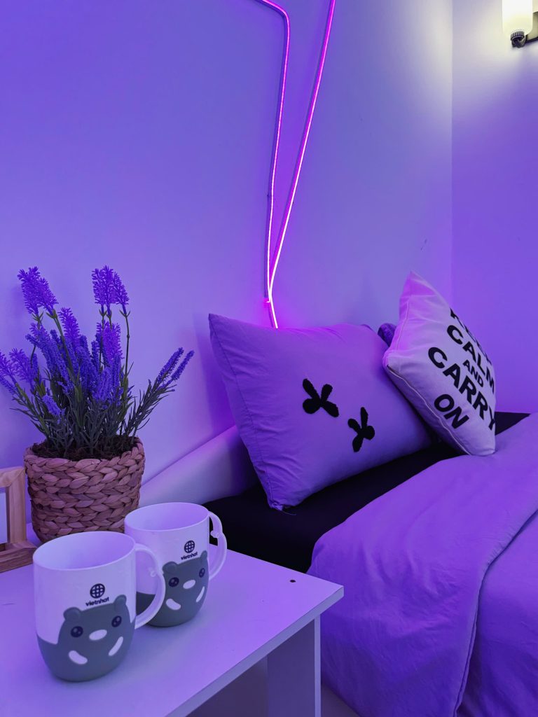 Lavender 5