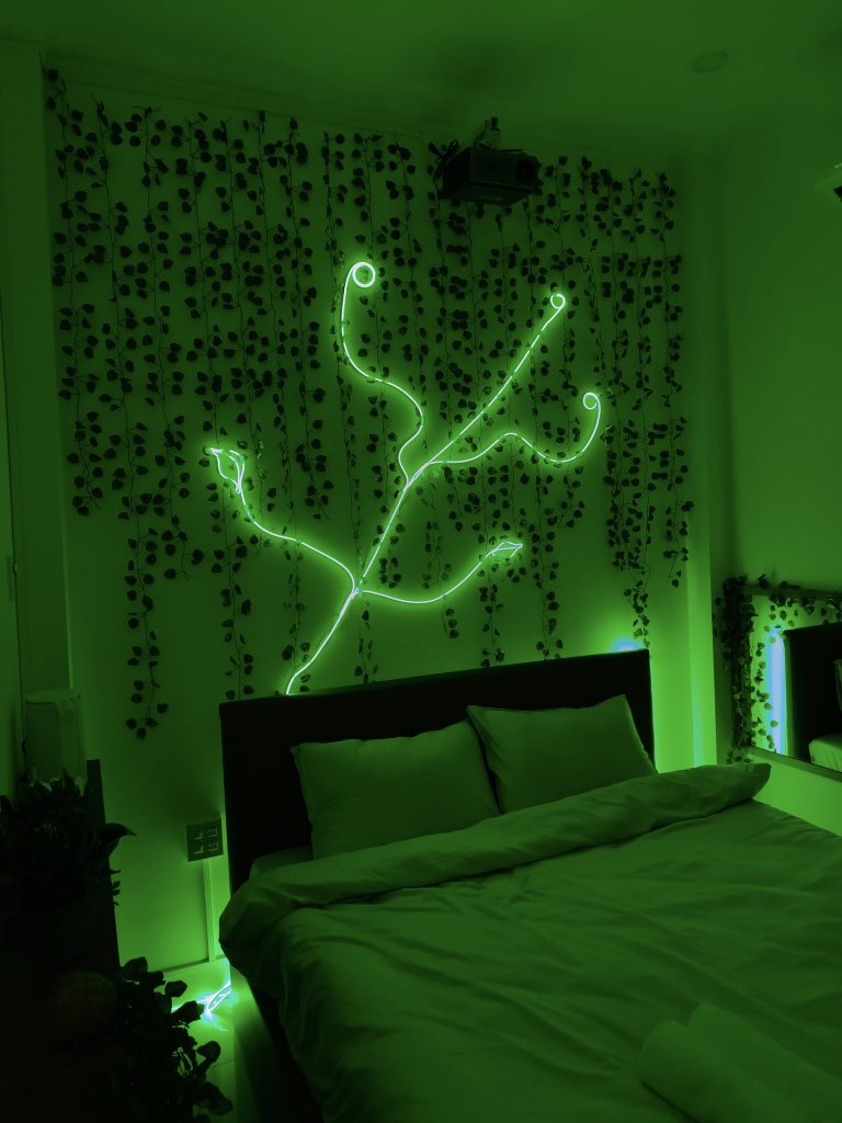 Ivy Graden 4