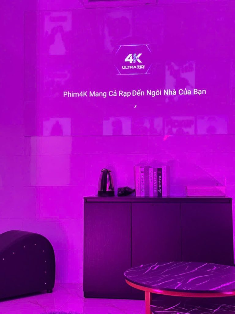 Black Pink 4